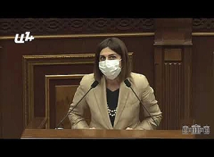 Չե՞ք տիրապետում, թե՞ միտումնավոր եք խճճում․ Թագուհի Թովմասյանը՝ Ավանեսյանին