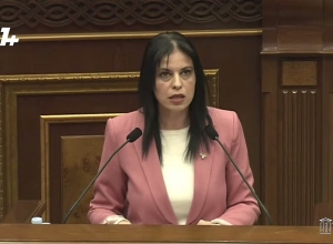 Ներեցեք,որ այսպիսի ապուշություններ մեջբերեցի ԱԺ ամբիոնից․ Արեգնազ Մանուկյան