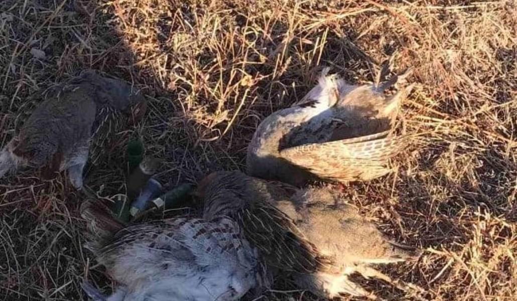 252280149_3043673882550534_1789336061863155709_n