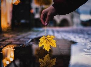 Նոյեմբեր ամսվա եղանակային կանխատեսումը