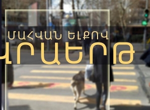 Վրաերթի ենթարկված 9-ամյա տղան մահացել է