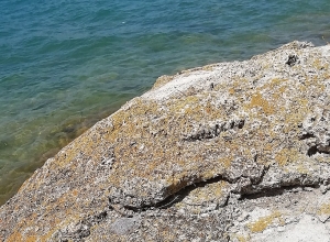 Սևանիտներ. հայ գիտնականների բացահայտումը Սևանա լճում