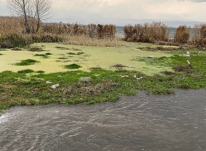 ՌԴ քաղաքացիները մոլորվել են Վանաձորի անտառում