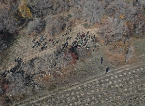 Տնկվել է 1000 տնկի․ իրականացված ծառատունկը թռչնի թռիչքի բարձրությունից