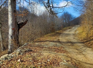 Արահետների վիճակն են գնահատելու
