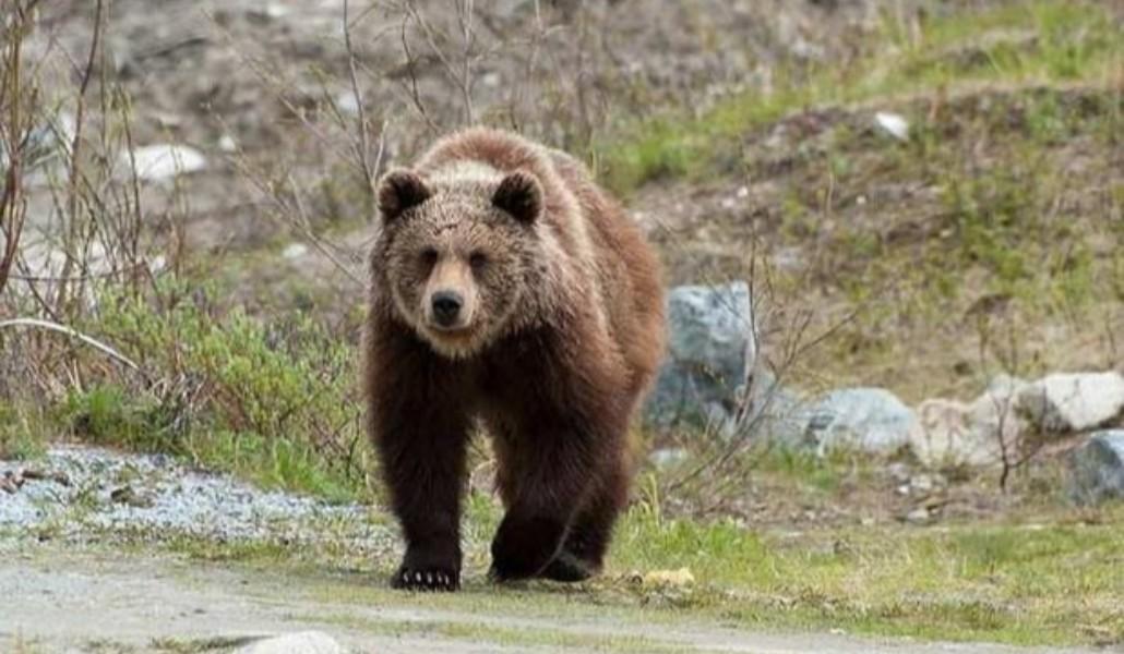 258815457_190488149939229_3638859119101565274_n