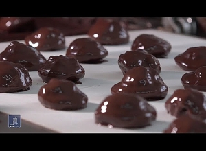 Государственный грант за дополнительные инвестиции