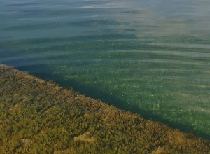 Սևանա լճի մակարդակը նախորդ տարվա համեմատ 11 սմ-ով ցածր է