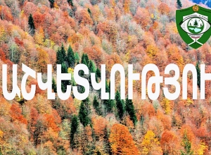 Շրջակա միջավայրին հասցվել է 118.537.411 դրամի չափով վնաս