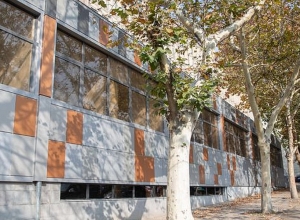 Ավարտում ենք  «Ուղեղի կենտրոն»-ի շինարարությունը․ Մուրադյան