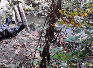 Раскрыто убийство в лесу