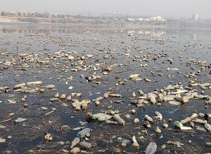 Երևանյան լճի և Հրազդան գետի առափնյա տարածքները կմաքրվեն․ կծախսվի մոտ 113 մլն դրամ