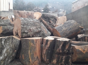 Տավուշի մարզում հայտնաբերել են ապօրինի փայտանյութի տեղափոխման 4 դեպք