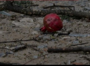 ՄԱԿ-ում որպես պաշտոնական փաստաթուղթ տարածվել է «Ադրբեջանական զինված ուժերի կողմից Արցախի քաղաքացիական անձանց սպանության վերաբերյալ» Արցախի ՄԻՊ զեկույցը