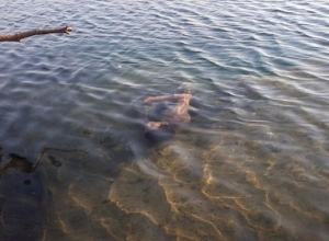 Հրազդան գետում քաղաքացու դի է հայտնաբերվել