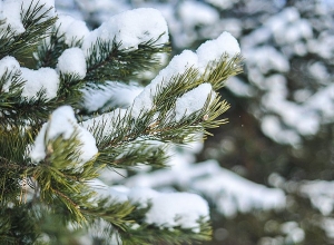 Ինչ եղանակ է կանխատեսվում դեկտեմբերին