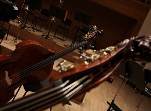 Филармонический оркестр приобрёл контрабасы известной немецкой компании