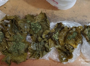 Մարիխուանայով «տոլմա»՝  «Արմավիր» ՔԿՀ-ում