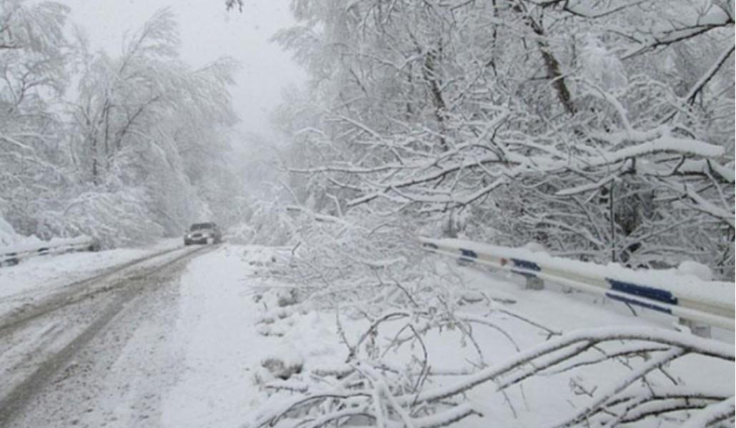 0ca10dae67bc49e598c9b3568b35664e