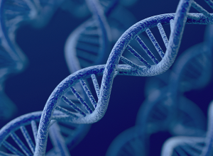 Армянский генофонд имеет более чем 6 000-летнюю непрерывную генетическую историю