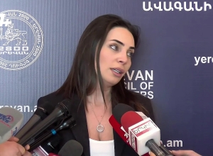 Брифинг Теймины Варданян: ПРЯМОЙ ЭФИР