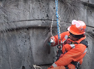 Պատմական կամուրջն «ազատագրեցին» բուսնած ծառերից