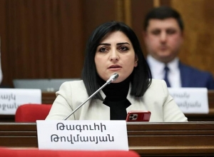 Թագուհի Թովմասյանը դիմել է եվրոպական երկրների դեսպաններին
