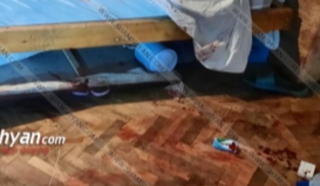 a5ba33c229106c8e7f5c56d821849520