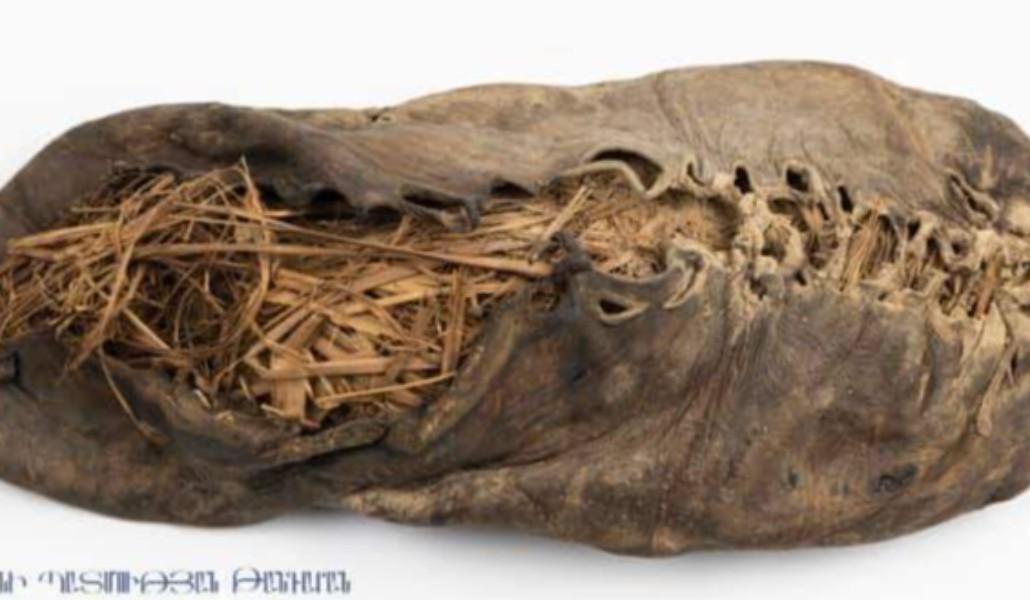 FB_IMG_1640933553539