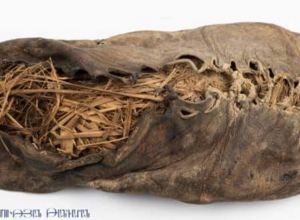 Արենիում հայտնաբերված ամենահին կոշիկը փրկելու համար մոտ 10 մլն է հատկացվել. փոխնախարար հիշեցումը