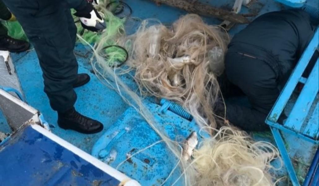 271225073_220421260279251_1064158509316988247_n