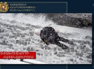 Խուլիգանության մեղադրանքով հետախուզվողը բերման ենթարկվեց