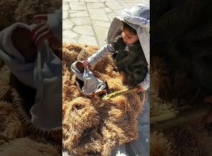 2-ամյա Հակոբի Սուրբ Ծննդյան պատգամը Մարտակերտի Ս. Հովհանու Կարապետ եկեղեցուց