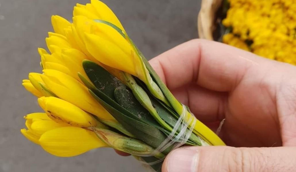 271729672_224978546490189_5221809382401313139_n