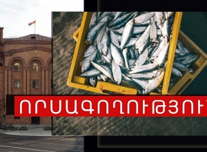 Բերման է ենթարկվել 32-ամյա տղամարդ, նրա մոտ հայտնաբերվել է 95 սիգ ձկնատեսակ