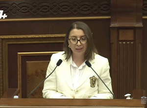 Ընտրվելու դեպքում ՄԻՊ-ի դիմումները հետ չեմ վերցնելու․ ՄԻՊ-ի թեկնածուի ելույթը