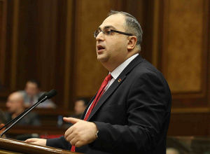 Վլադիմիր Վարդանյանն ընտրվել է ԵԽԽՎ հանձնաժողովի փոխնախագահ