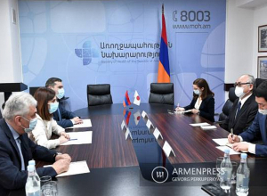 Ավանեսյանն ընդունել է ՀՀ-ում ԱՀԿ նորանշանակ հատուկ ներկայացուցիչ Ջիհանե Թաուիլահին