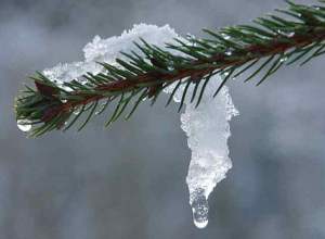 Ինչ եղանակ է կանխատեսվում փետրվար ամսին