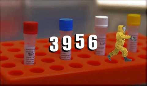 3956 նոր դեպք է հաստատվել 1 օրում