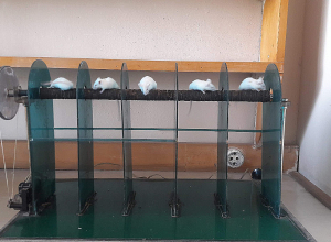 ԳԱԱ գիտատեխնոլոգիական կենտրոնի հայտնաբերած դեղամիջոցները ներդրվում են բժշկական կլինիկական պրակտիկայում