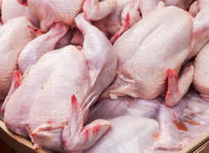 Նախադրյալներ են ստեղծվել թռչնամսի տեղական արտադրության ընդլայնման համար․ ՄՊՀ