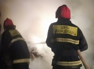 Թեղուտում հրդեհի հետևանքով սատկել է 7 խոզ և 6 խոշոր եղջերավոր կենդանի