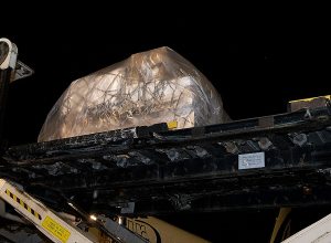 100․620 доз «Пфайзера» будут доступны в пунктах вакцинации