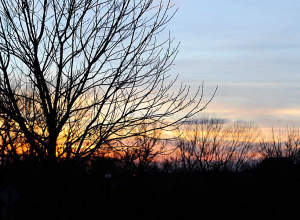 Ինչ եղանակ են կանխատեսում առաջիկա օրերի համար