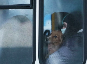 Դոնեցկի կրթական հաստատություններում դադարեցվել է ուսումնական գործընթացը