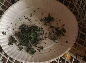 При обыске обнаружено оружие, наркотики и украденное