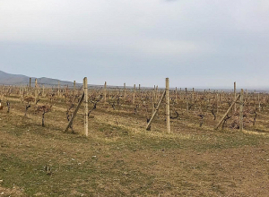 Խրամորթում խաղաղապահ զորքերի առկայությունը կարող է ավելացնել անվտանգության զգացողությունը․ Արցախի ՄԻՊ