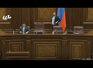 Призываю к политической трезвости: Арцвик Минасян - ГД