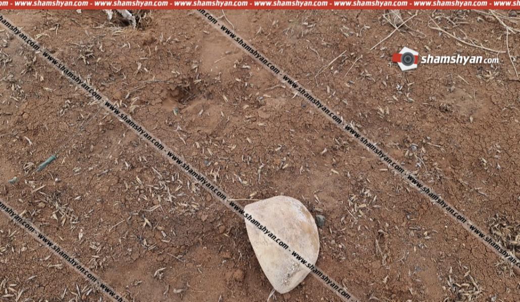 03239367d775ce6c9f284715f198a1df